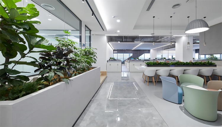 辦公室綠植，打造活力辦公空間
